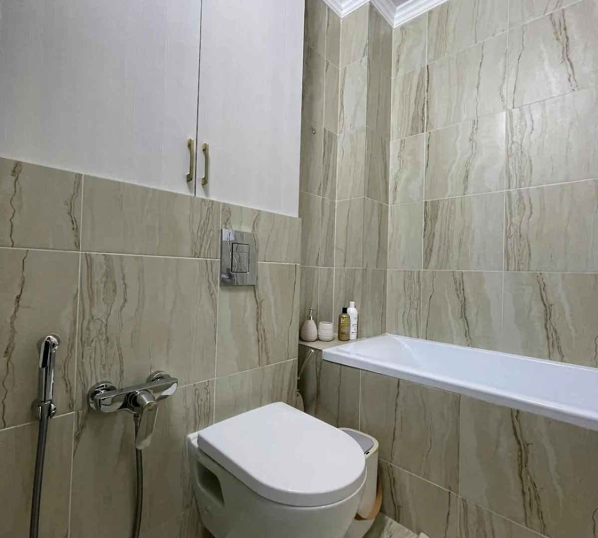 Dream Apartment - Style And Coziness Astana